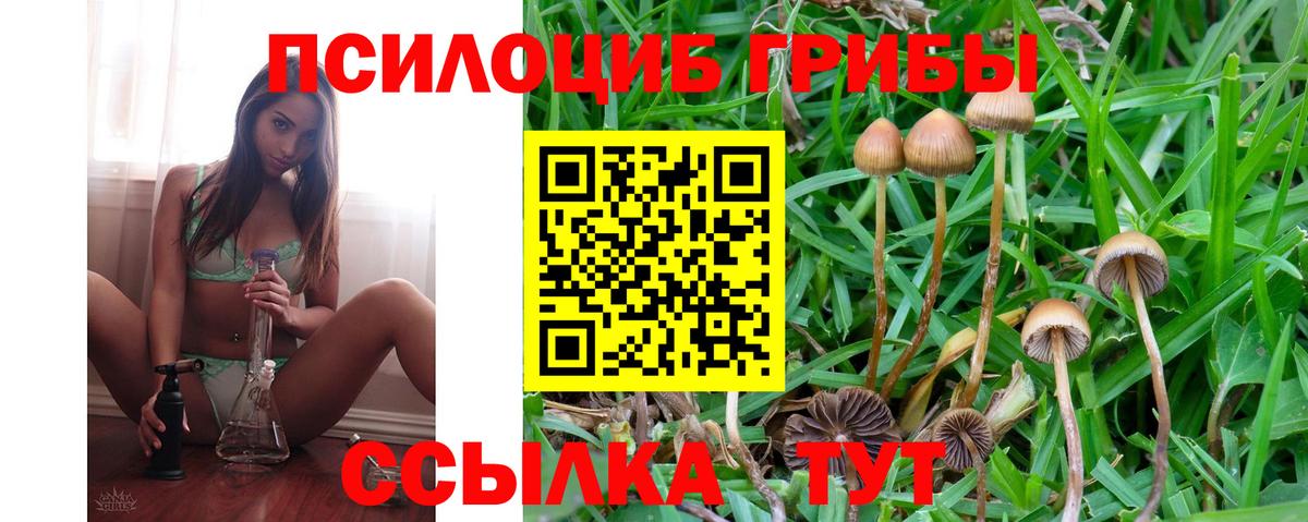 Дагестанские Огни  цена наркотик  Вход с VPN  Псилоцибиновые грибы Magic Shrooms 